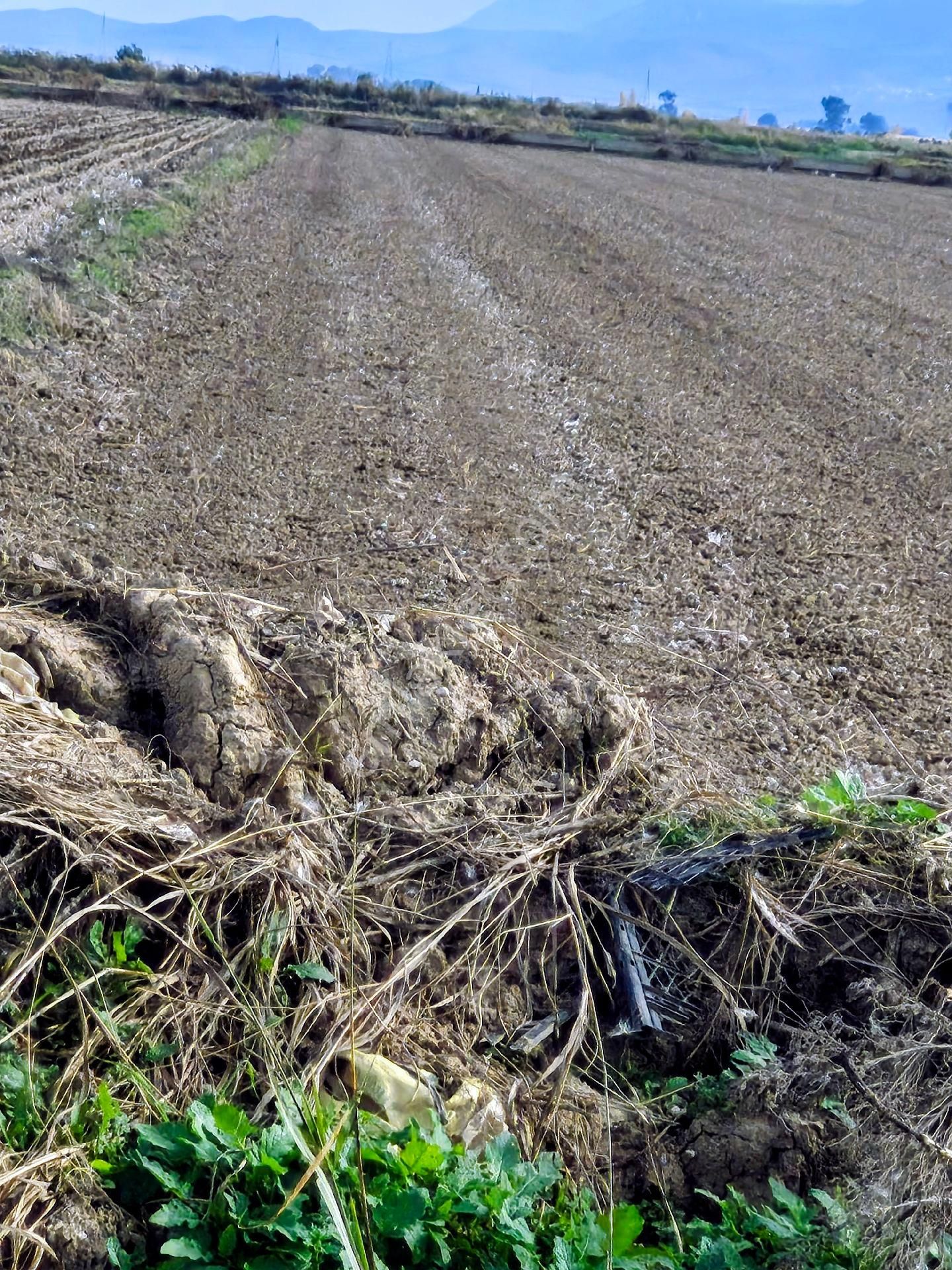 13 Dönüm Menemen Musa - Görsel 7