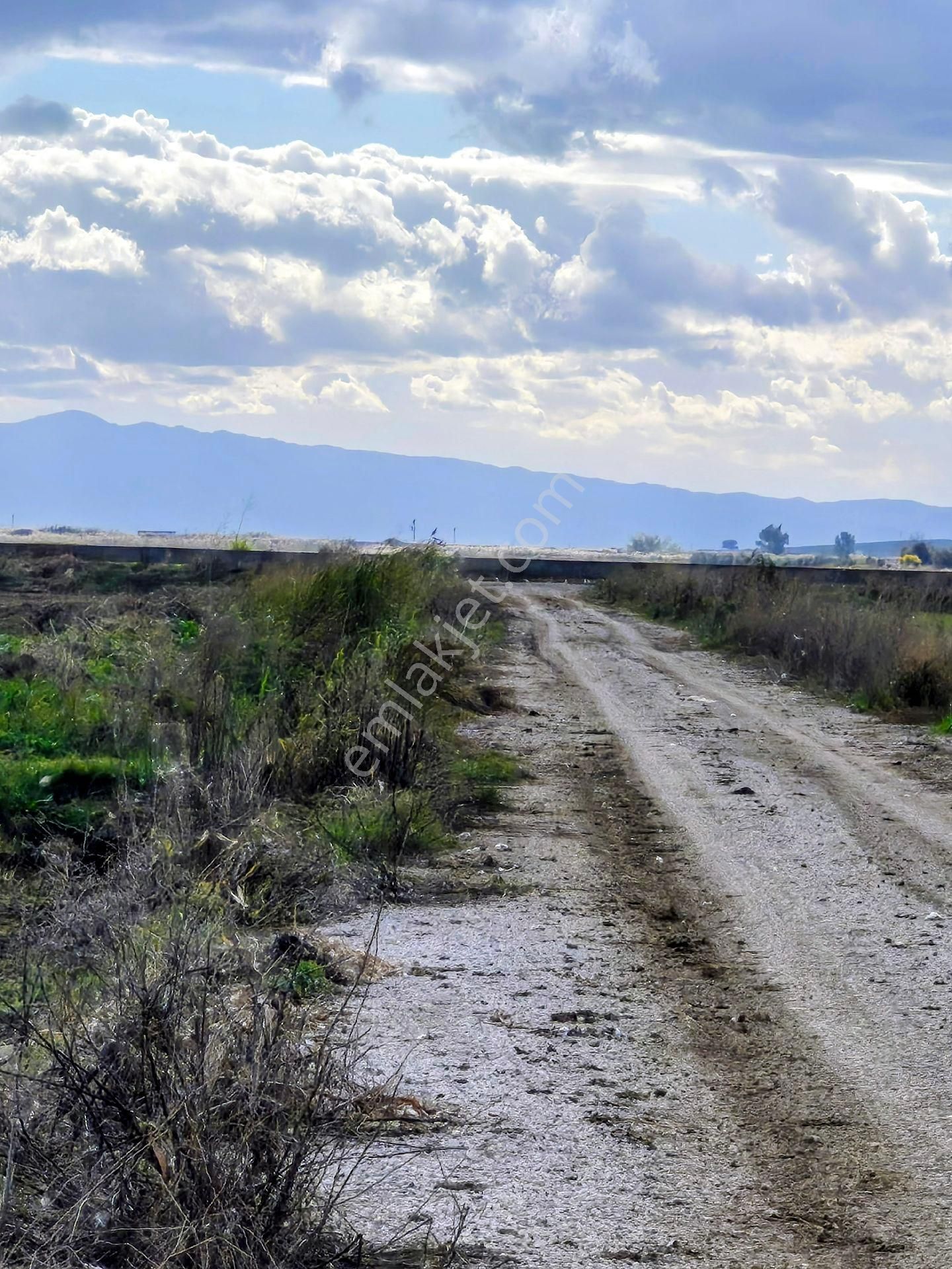 13 Dönüm Menemen Musa - Görsel 3