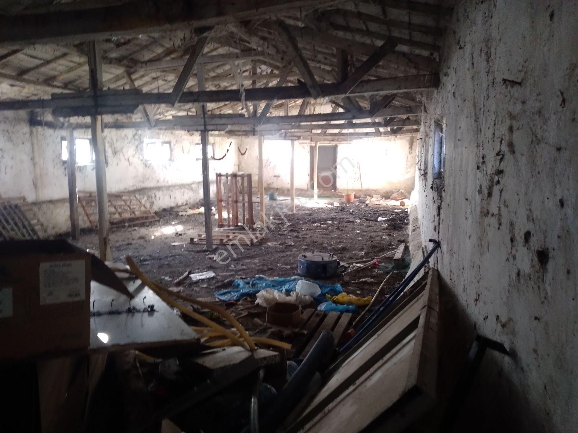 Satılık 15 Dönüm Tarla İçinde 2 Ev 2 Ahır Anas Emlak Tan - Görsel 20