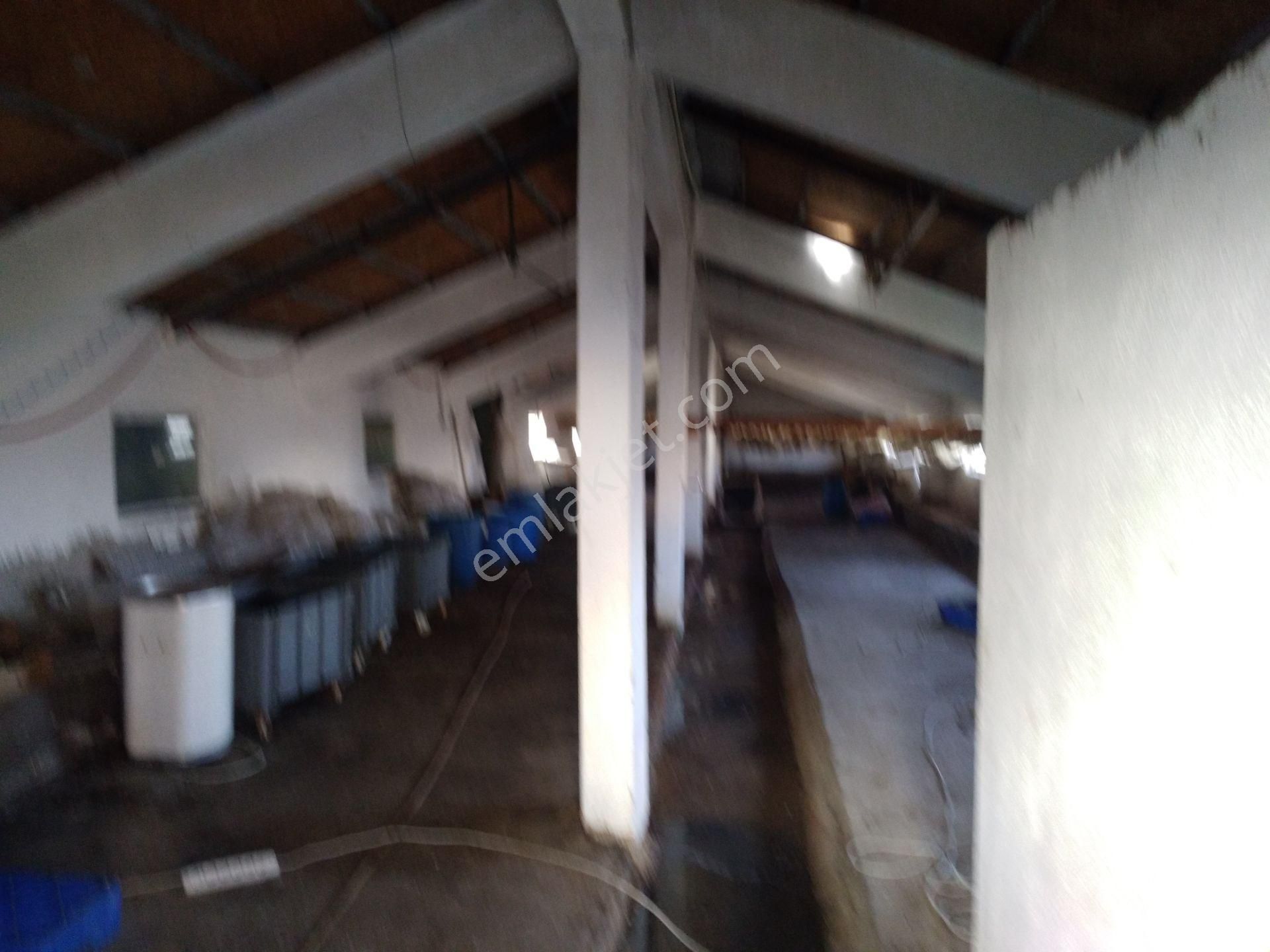 Satılık 15 Dönüm Tarla İçinde 2 Ev 2 Ahır Anas Emlak Tan - Görsel 13