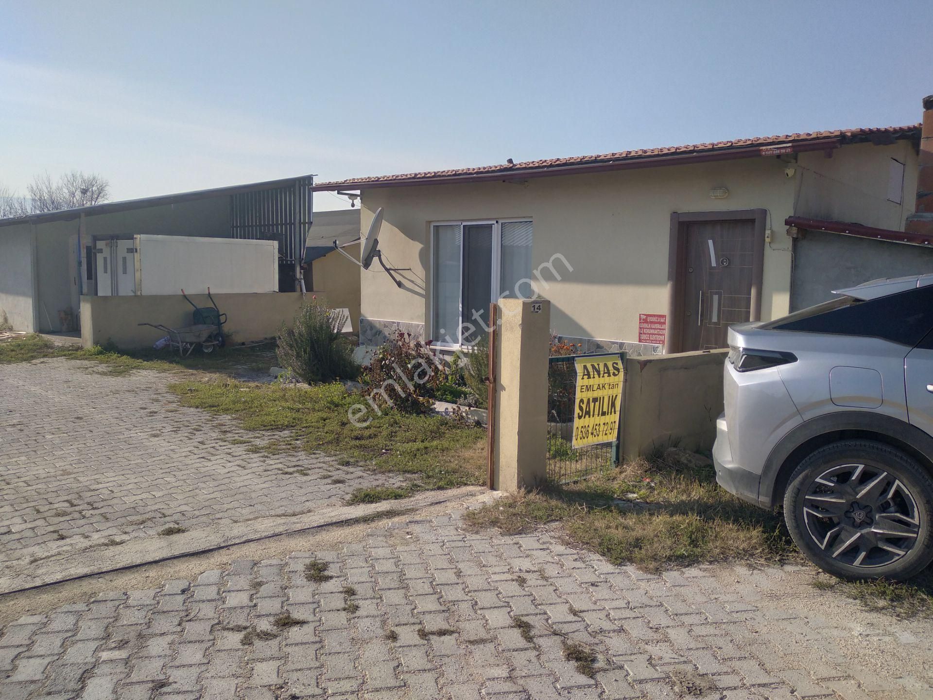 Satılık 15 Dönüm Tarla İçinde 2 Ev 2 Ahır Anas Emlak Tan - Görsel 11