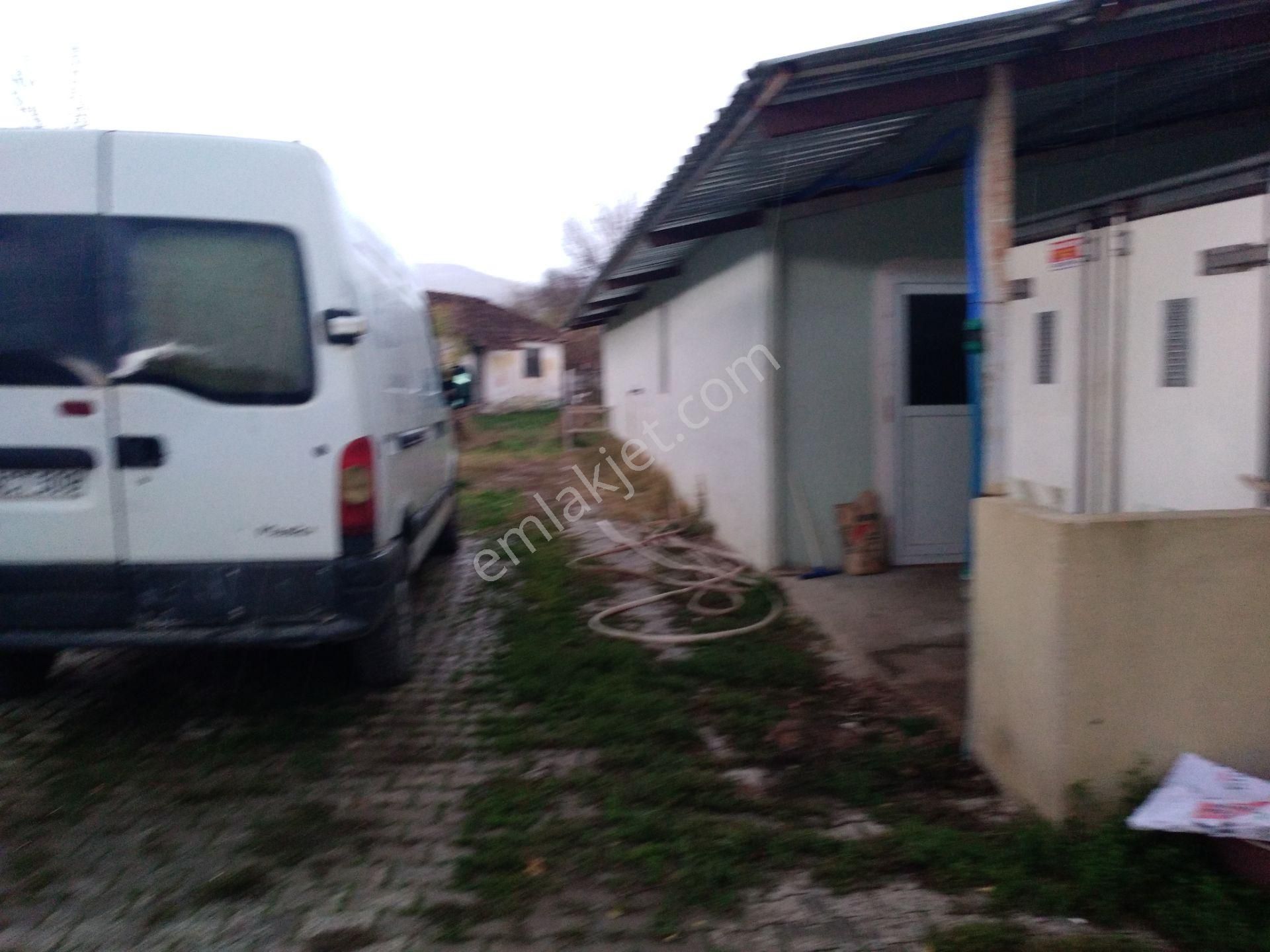 Satılık 15 Dönüm Tarla İçinde 2 Ev 2 Ahır Anas Emlak Tan - Görsel 5