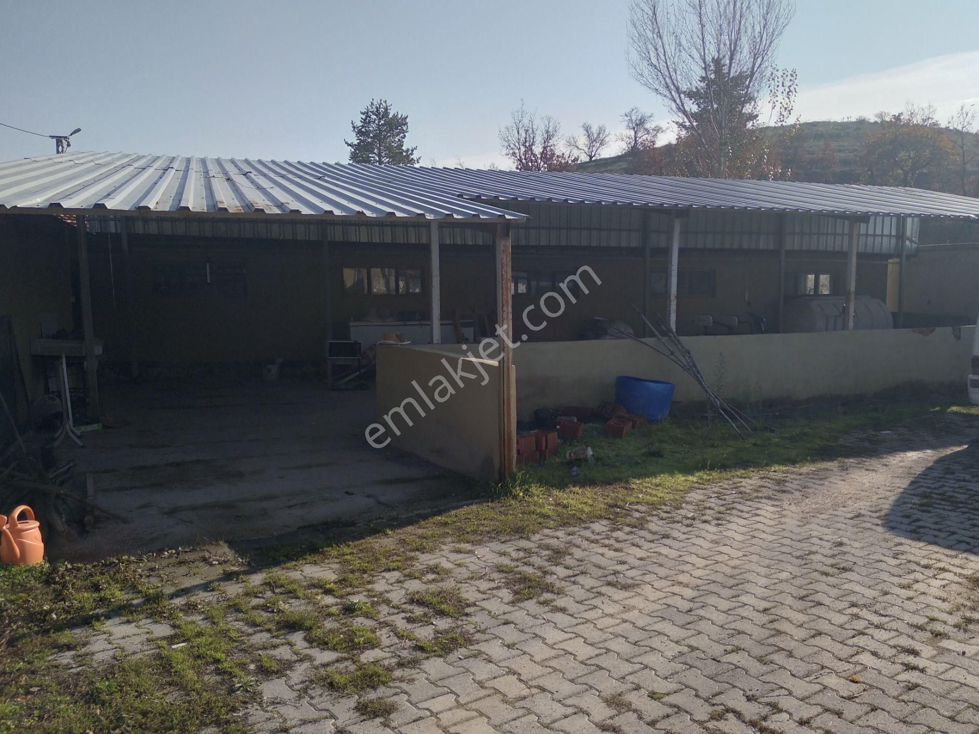 Satılık 15 Dönüm Tarla İçinde 2 Ev 2 Ahır Anas Emlak Tan - Görsel 12