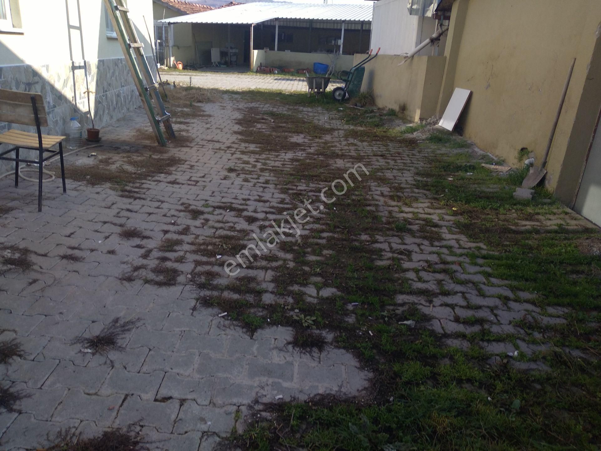 Satılık 15 Dönüm Tarla İçinde 2 Ev 2 Ahır Anas Emlak Tan - Görsel 18