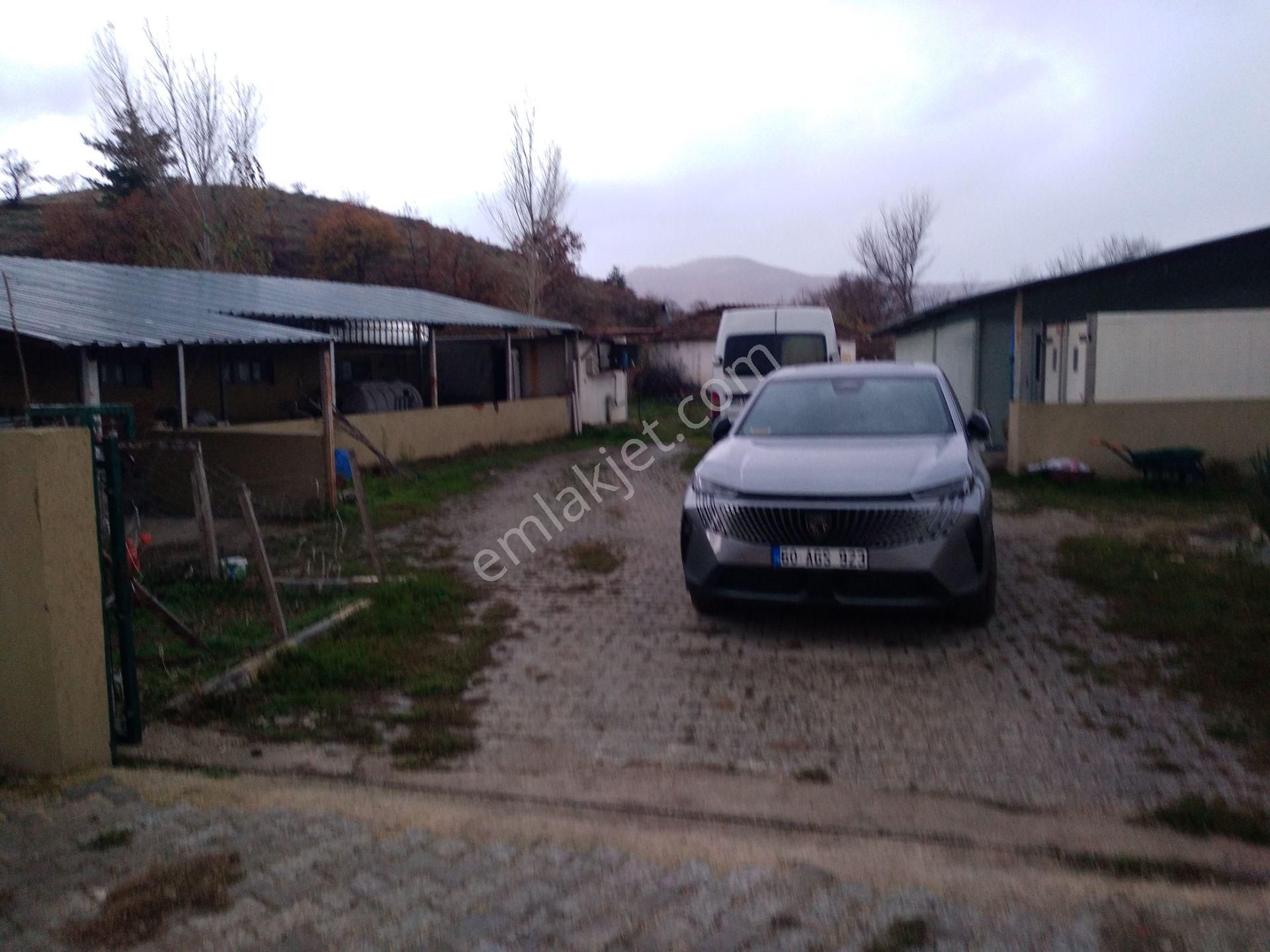 Satılık 15 Dönüm Tarla İçinde 2 Ev 2 Ahır Anas Emlak Tan - Görsel 8