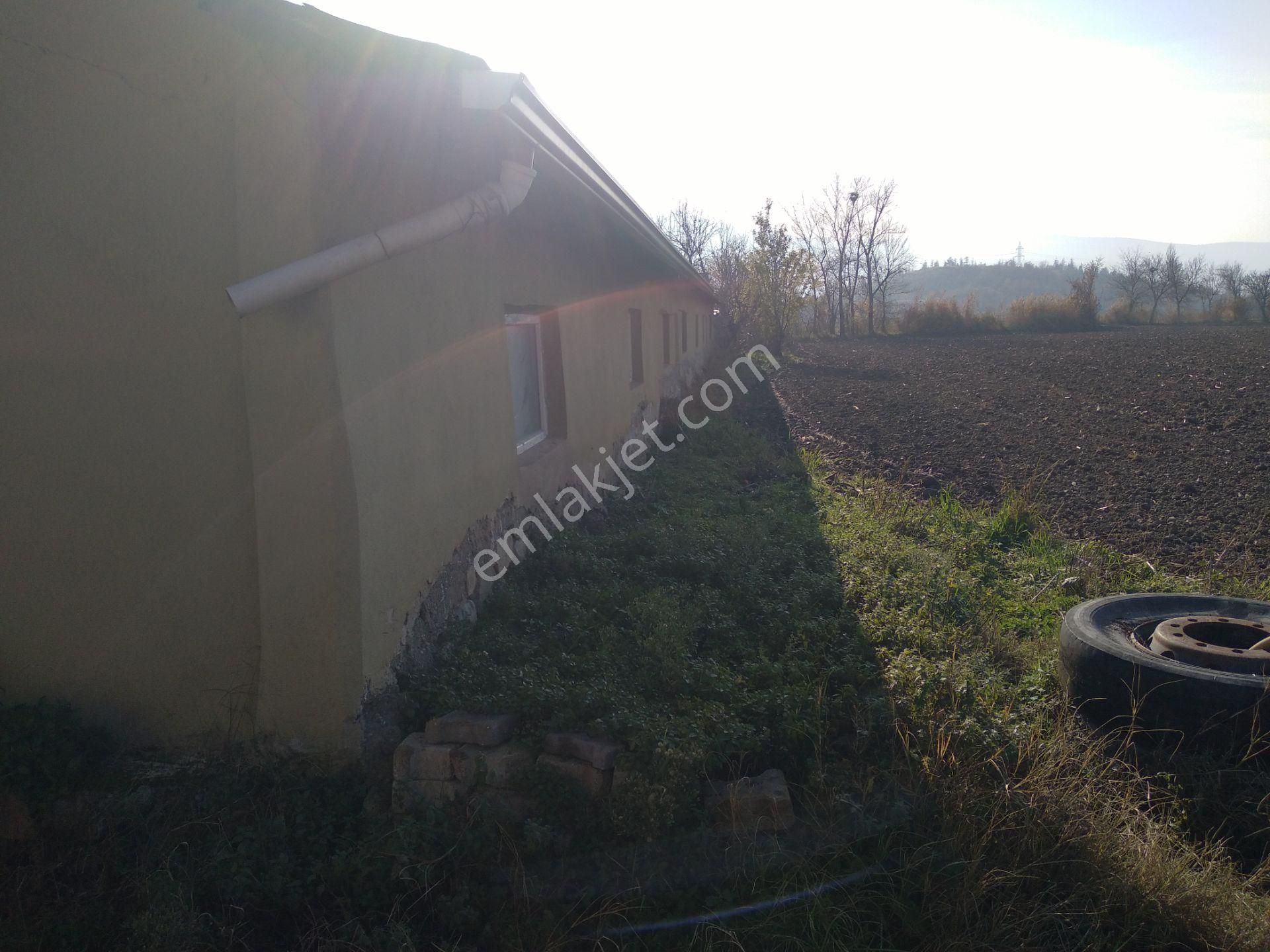 Satılık 15 Dönüm Tarla İçinde 2 Ev 2 Ahır Anas Emlak Tan - Görsel 17