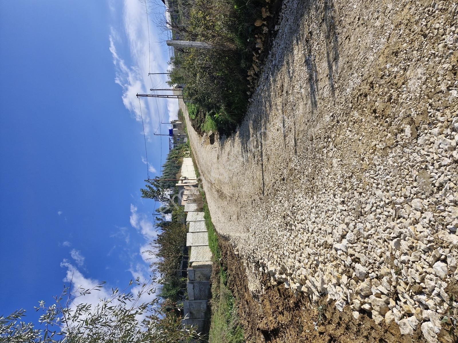 Kadıköy'de Saklı Bahçe Projemizden Satılık Son Parseller - Görsel 5