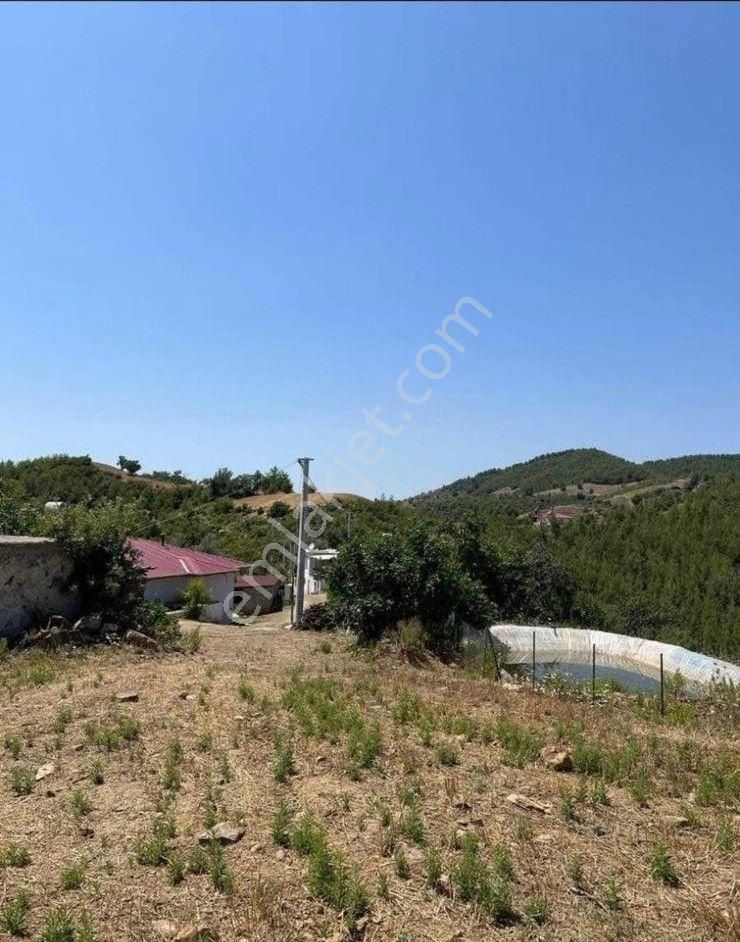 Gazipaşa Sugözü Mah.beşirli Mevkii Satılık 1250 M2 Tarla