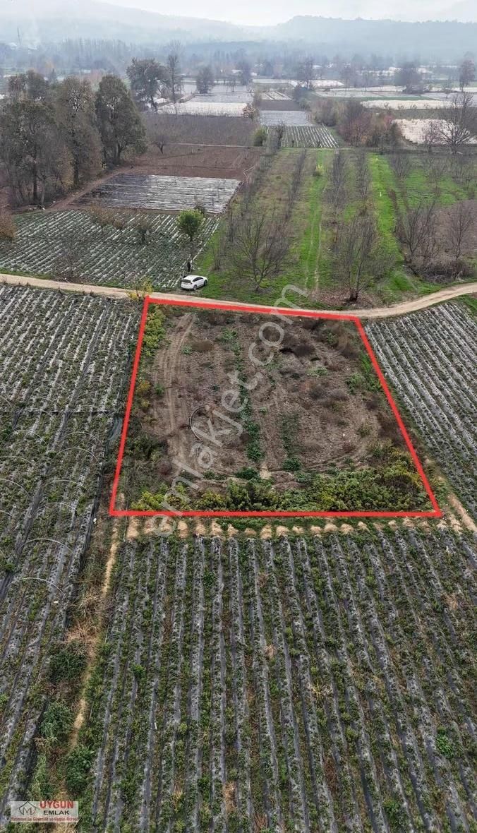 Küçük Yenicede Satılık Tarla - Görsel 3