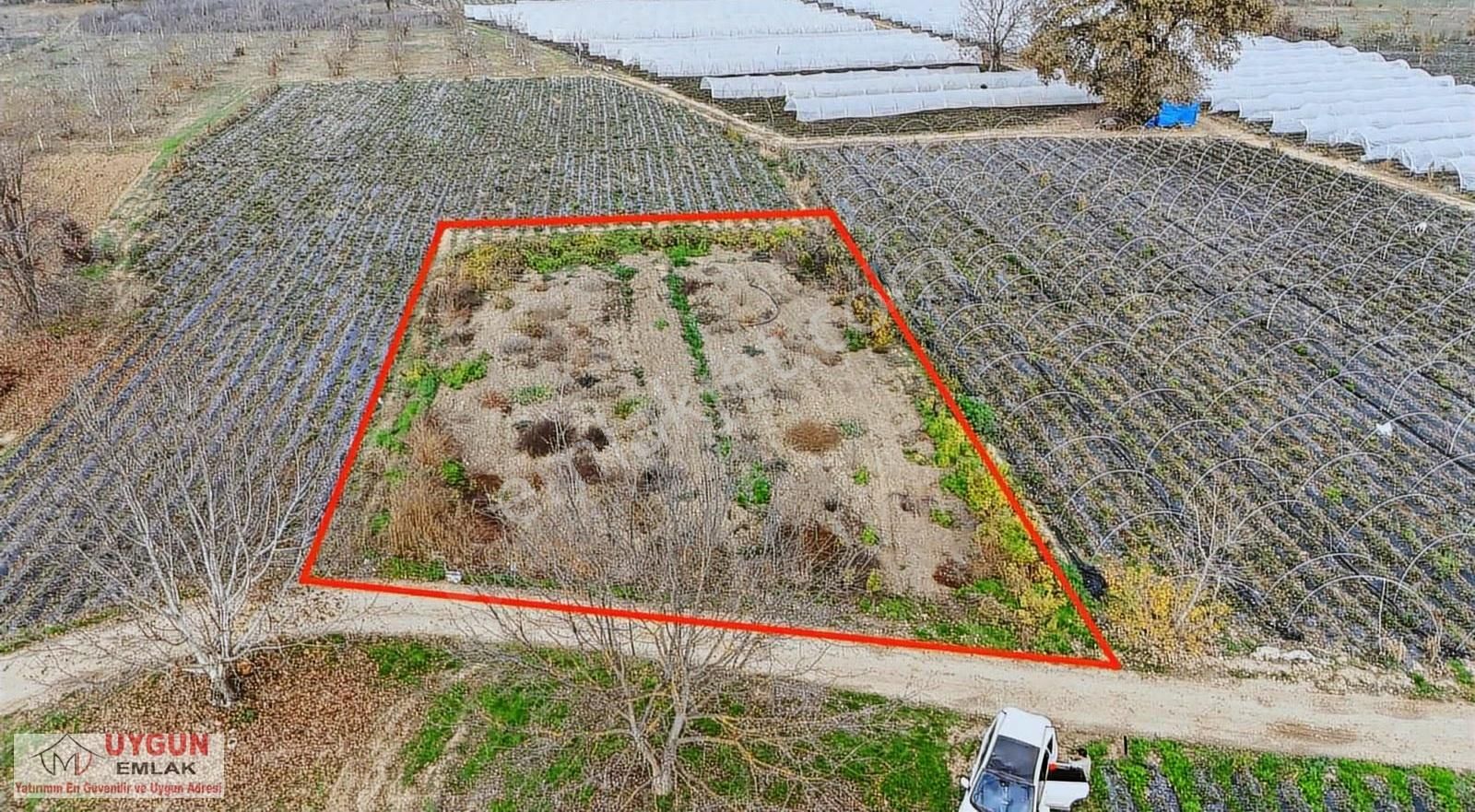 Küçük Yenicede Satılık Tarla - Görsel 6