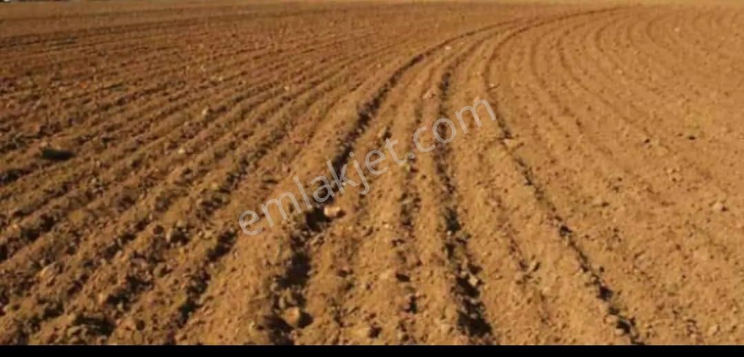 Satılık Verimli Tarla