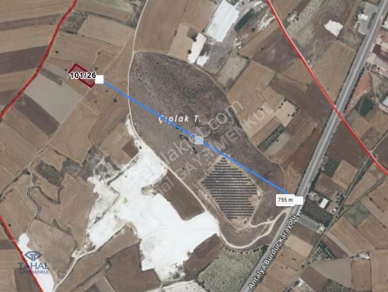 Burdur Bucak Gündoğdu Mah Satılık 2885 M2 Tarla - Görsel 4