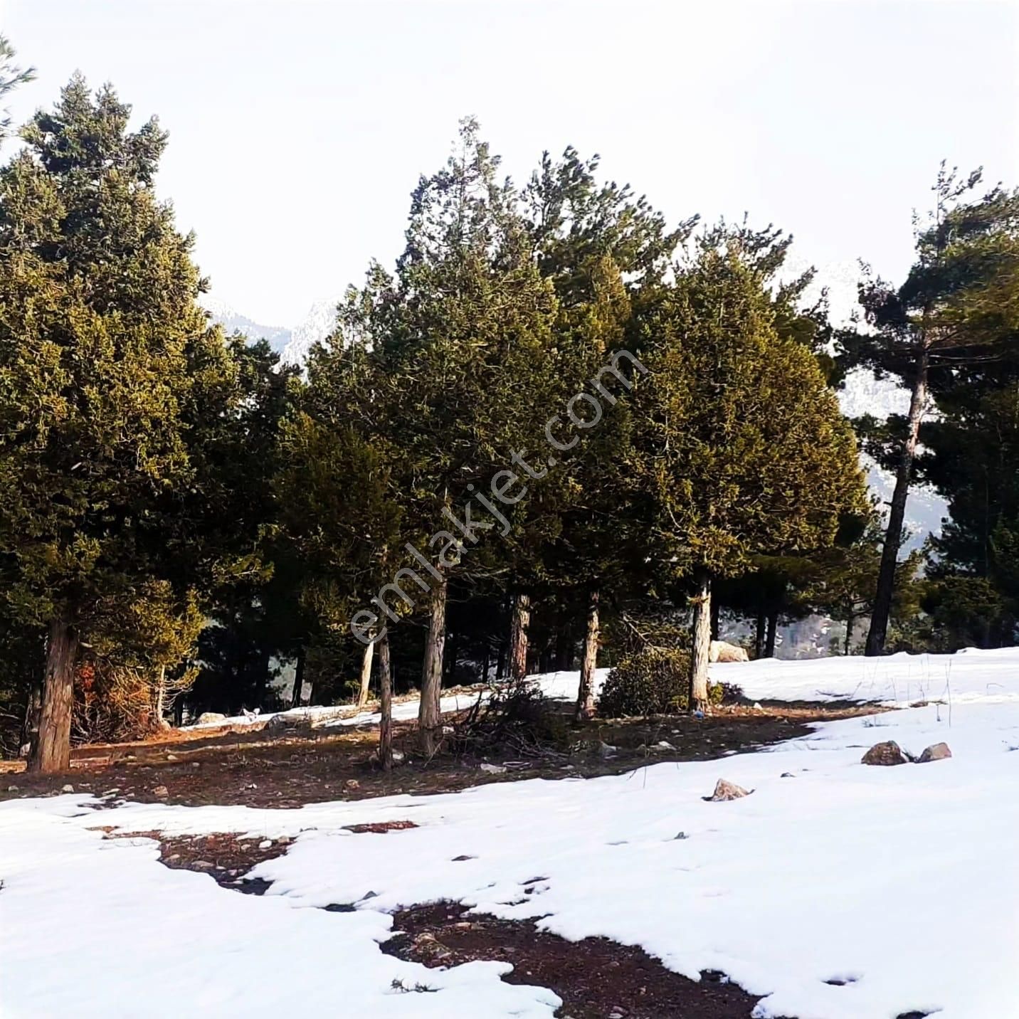 Kar Emlaktan Yeni Konacık Kırıntı Mevkiinde 725 M2 Arsa - Görsel 35