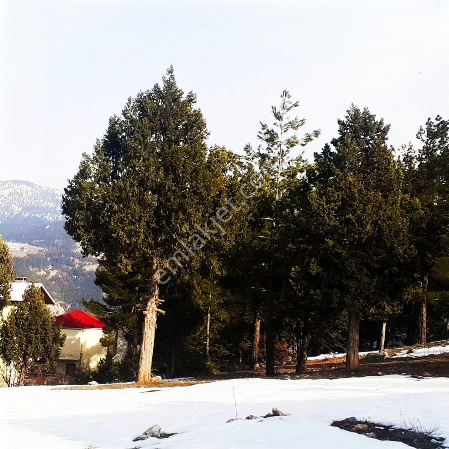 Kar Emlaktan Yeni Konacık Kırıntı Mevkiinde 725 M2 Arsa - Görsel 4