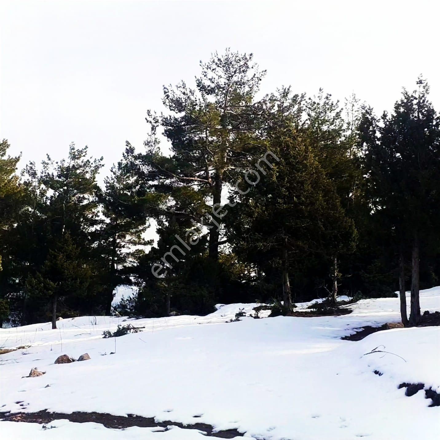 Kar Emlaktan Yeni Konacık Kırıntı Mevkiinde 725 M2 Arsa - Görsel 23