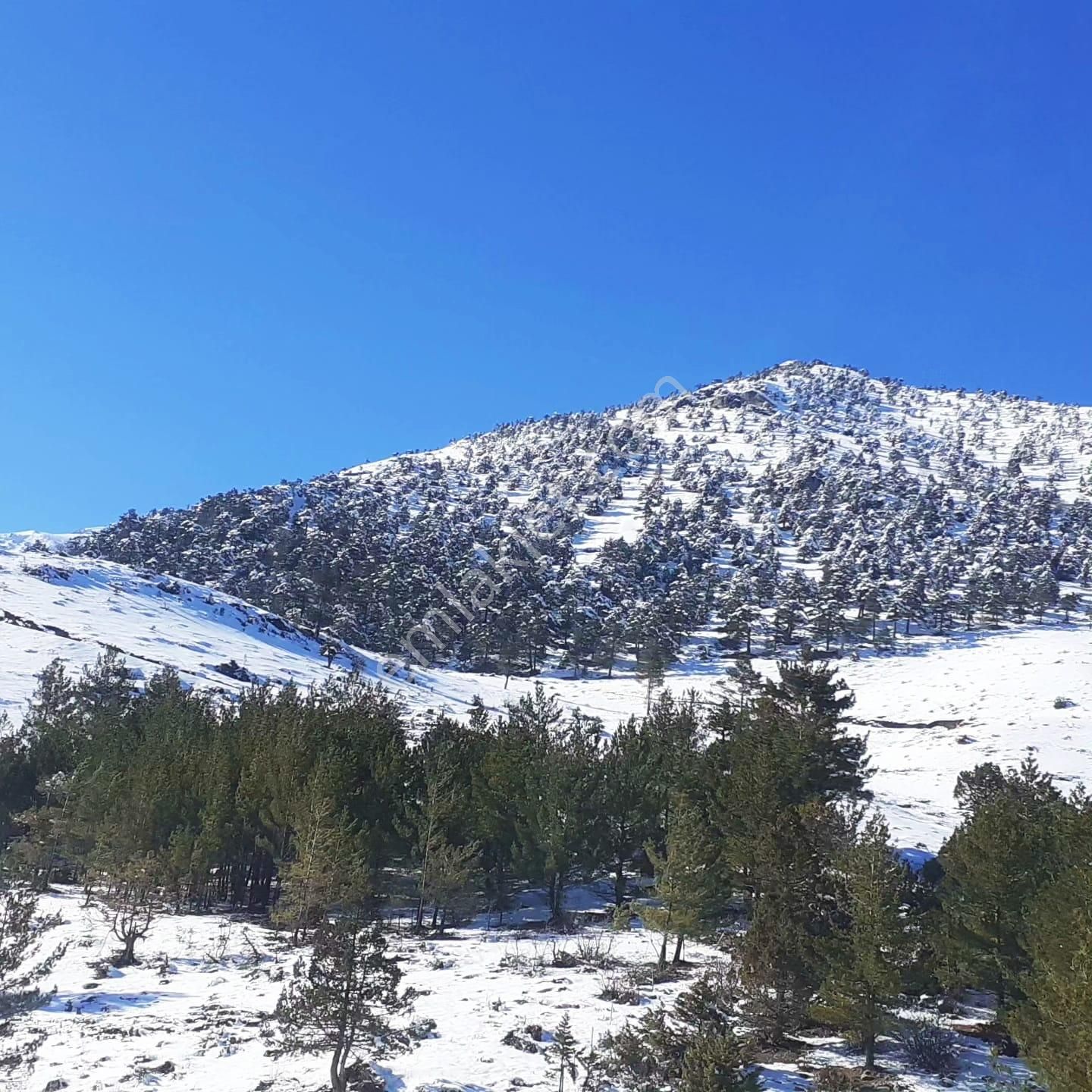 Kar Emlaktan Yeni Konacık Körmenlik Mevkiinde Bir Dönüm Arsa - Görsel 29