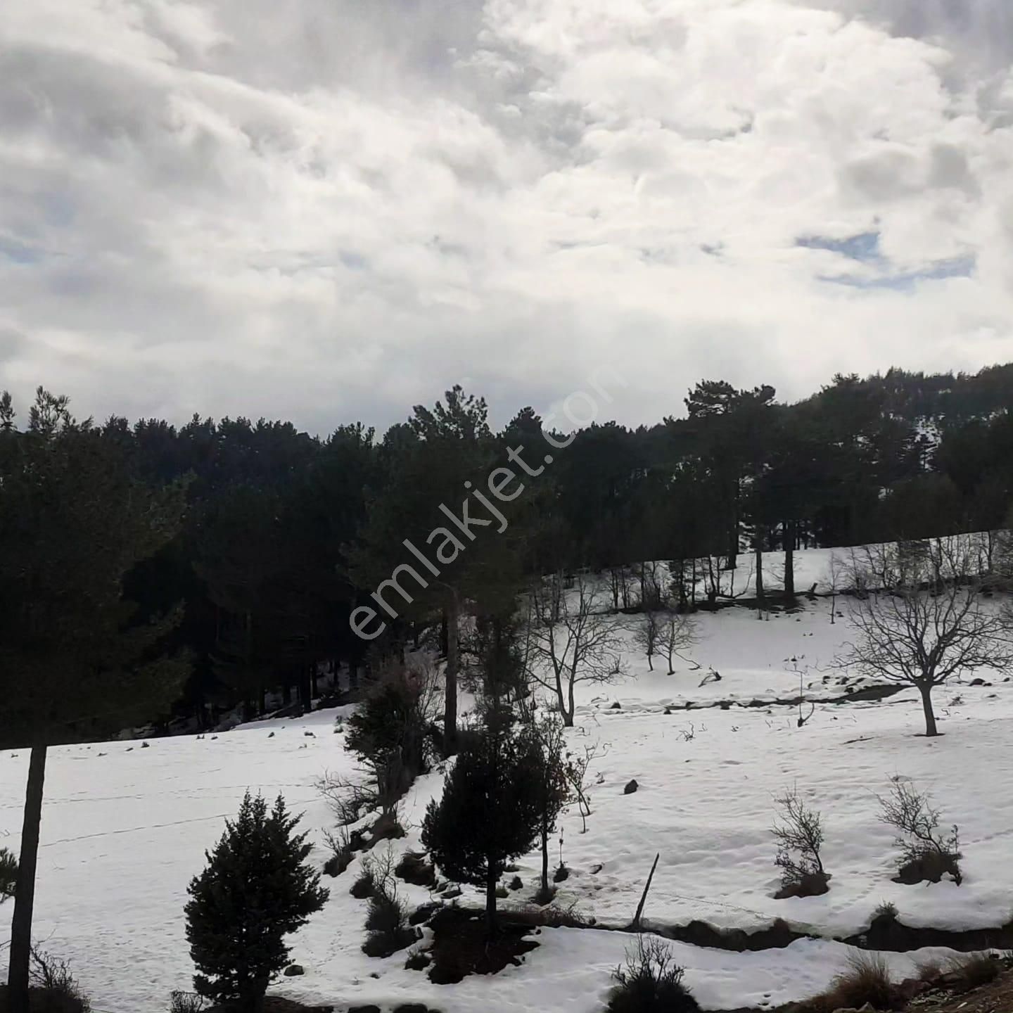 Kar Emlaktan Yeni Konacık Bozkırlı Mevkiinde 400 M2 Satılık Arsa - Görsel 8