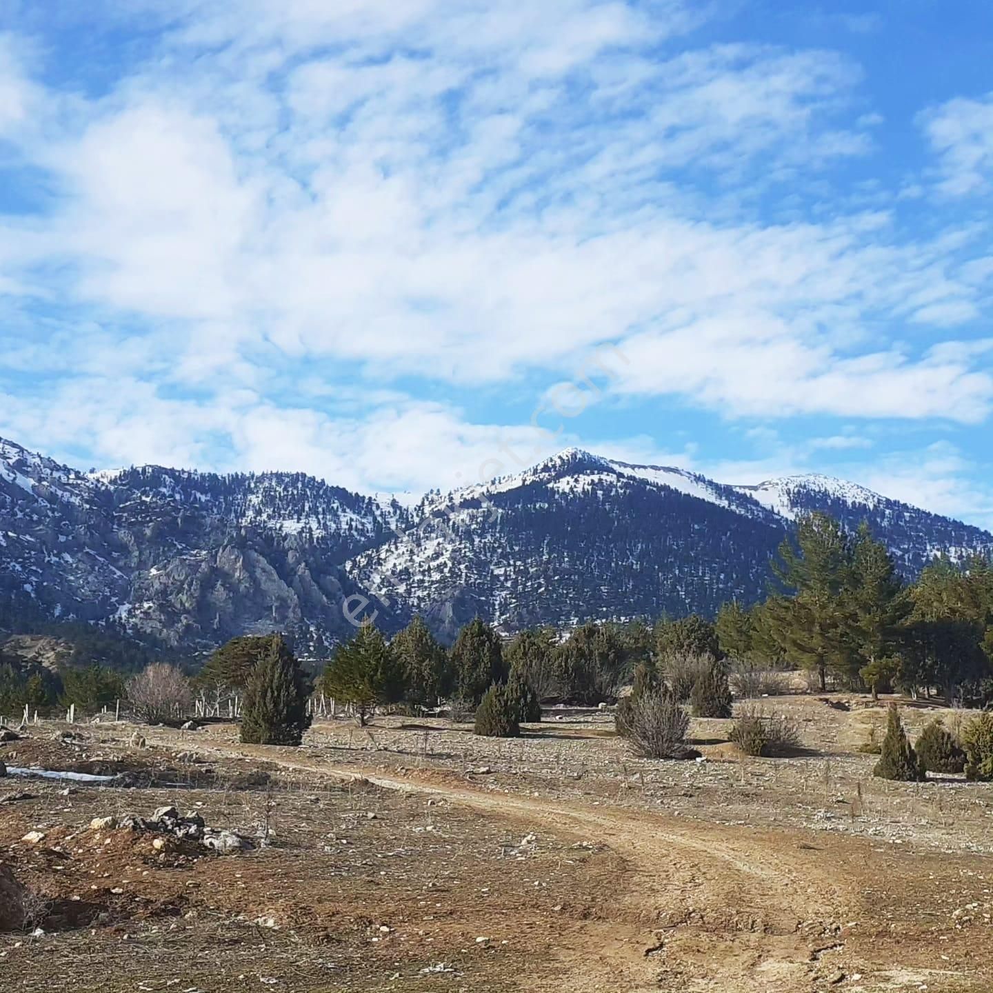 Kar Emlaktan Alpu Yaylasında 500 M2 Arsa - Görsel 8