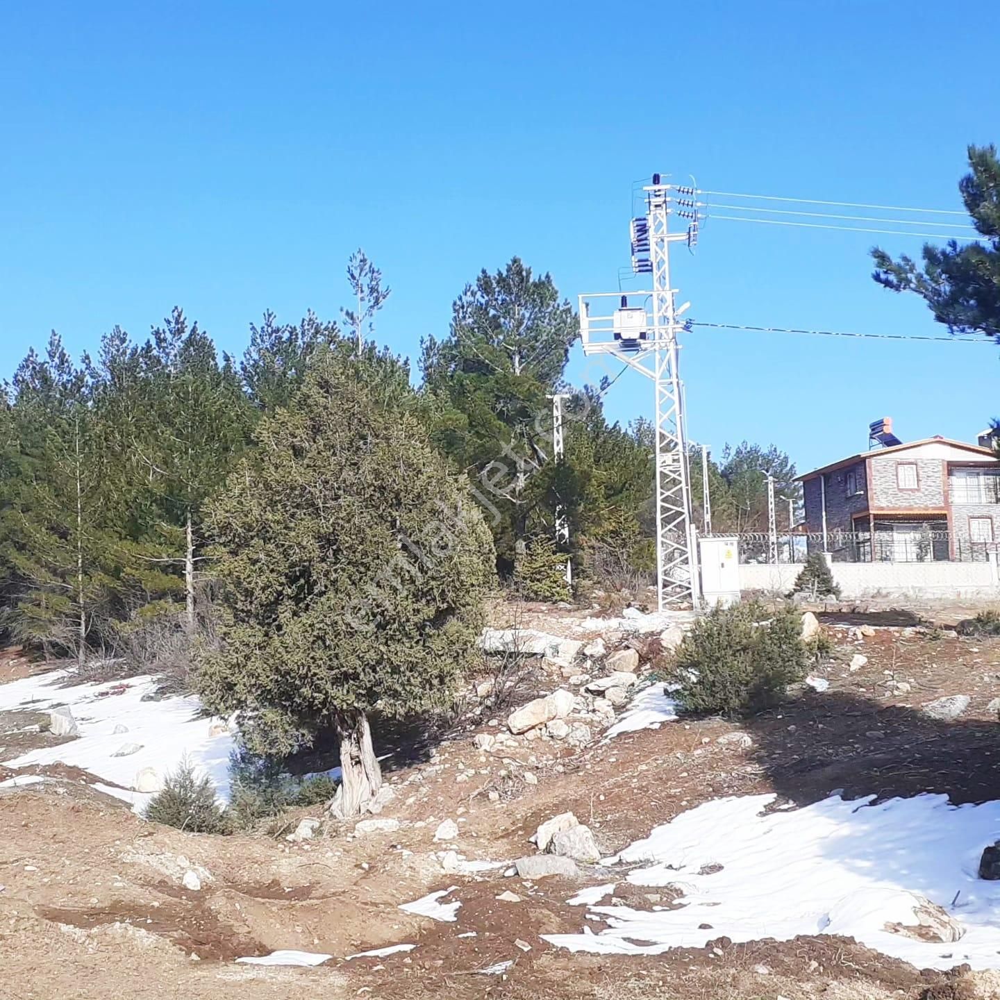 Kar Emlaktan Alpu Yaylasında 500 M2 Arsa - Görsel 6