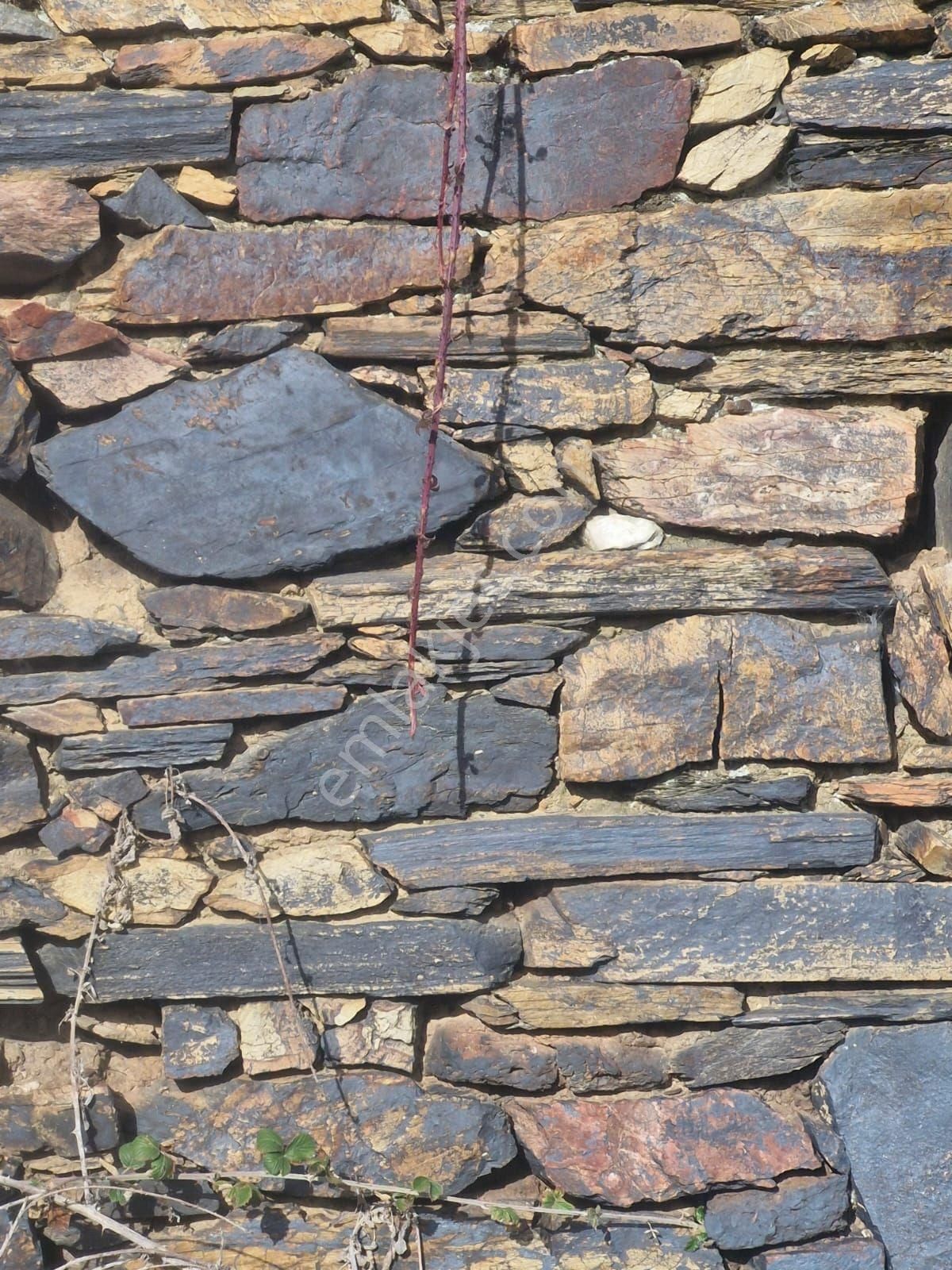 İzmir Bayındır Çınardibi'nde 4.894 M2 Kiraz Bahçesi Taş Ev. Açıklamayı Okuyunuz. - Görsel 4