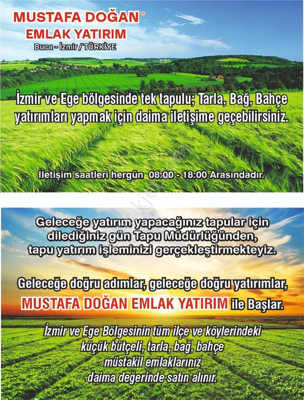 İzmir Bayındır Çınardibi'nde 4.894 M2 Kiraz Bahçesi Taş Ev. Açıklamayı Okuyunuz. - Görsel 8