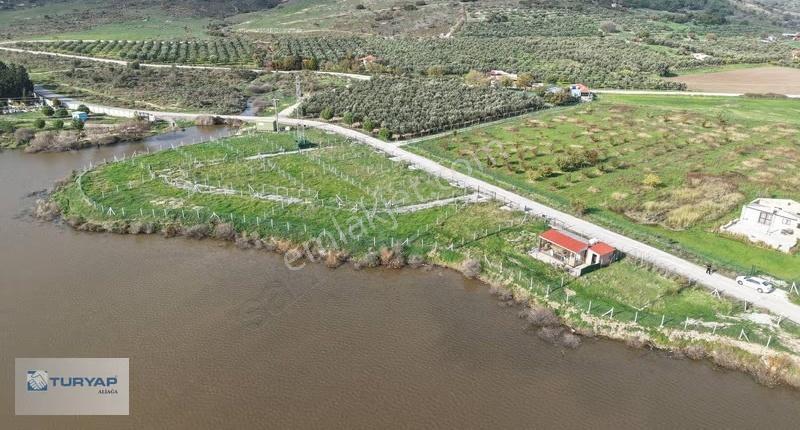 Göle Sıfır Konumda Elektrik Ve Suyu Hazır Tarla - Görsel 20