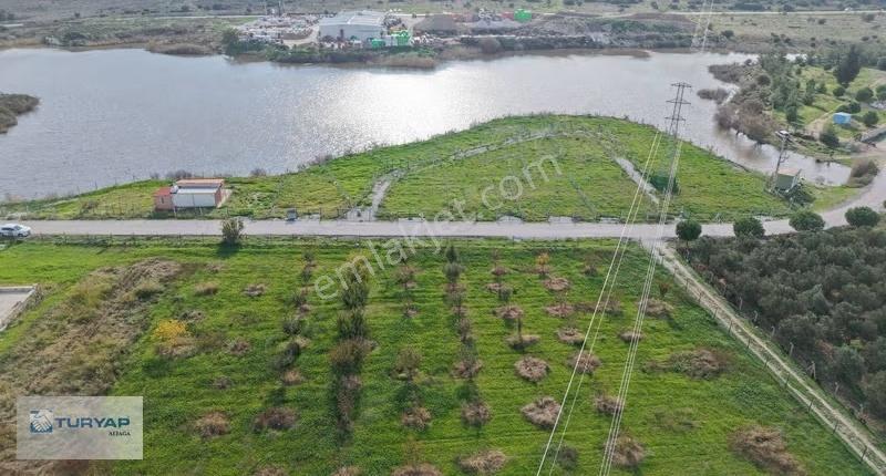 Göle Sıfır Konumda Elektrik Ve Suyu Hazır Tarla - Görsel 2
