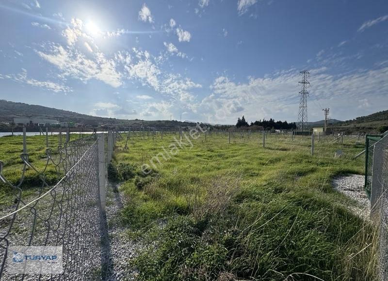 Göle Sıfır Konumda Elektrik Ve Suyu Hazır Tarla - Görsel 13