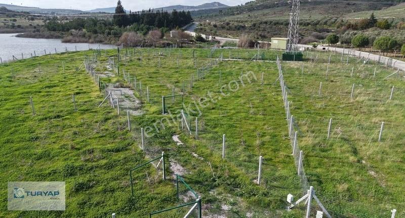 Göle Sıfır Konumda Elektrik Ve Suyu Hazır Tarla - Görsel 6