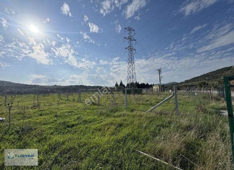 Göle Sıfır Konumda Elektrik Ve Suyu Hazır Tarla - Görsel 28