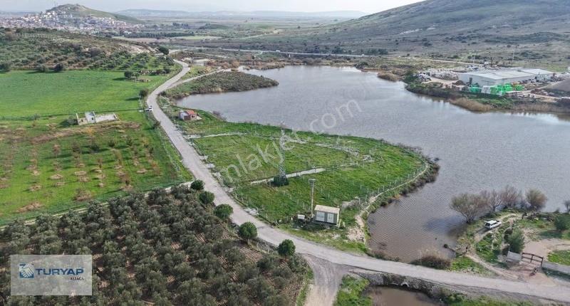 Göle Sıfır Konumda Elektrik Ve Suyu Hazır Tarla - Görsel 23