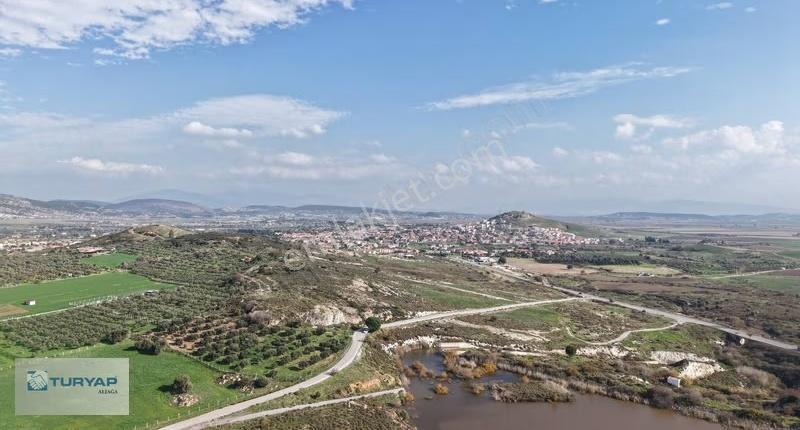 Göle Sıfır Konumda Elektrik Ve Suyu Hazır Tarla - Görsel 14
