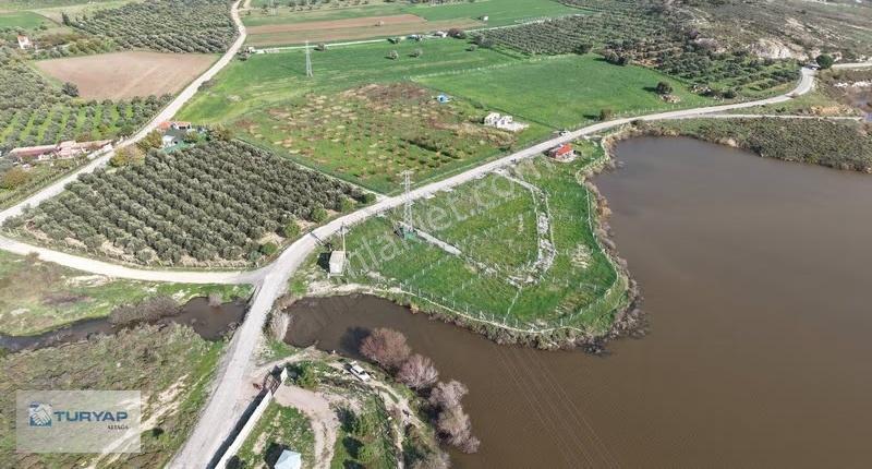Göle Sıfır Konumda Elektrik Ve Suyu Hazır Tarla - Görsel 26