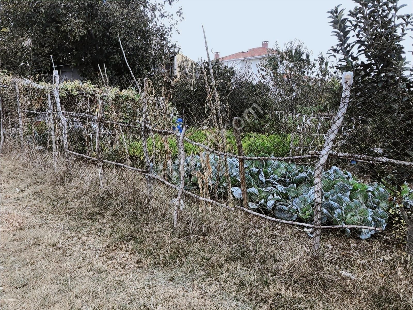 Akdoğan Emlaktan Şok Şok Kelepir Arsamiz 0 20 İmara Açık - Görsel 17