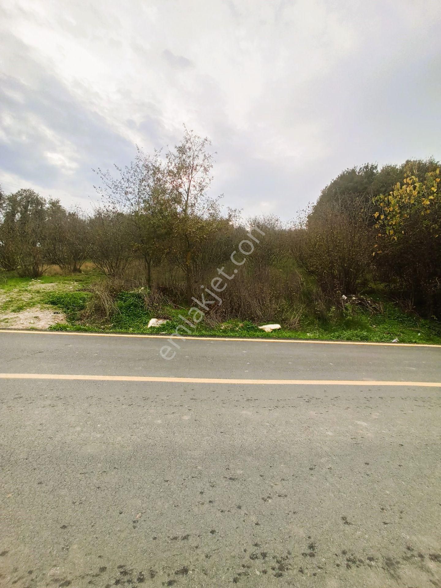 Sıraköy 'de Asfalt Cepheli, Manzaralı, Fırsat Satılık Tarla - Görsel 6