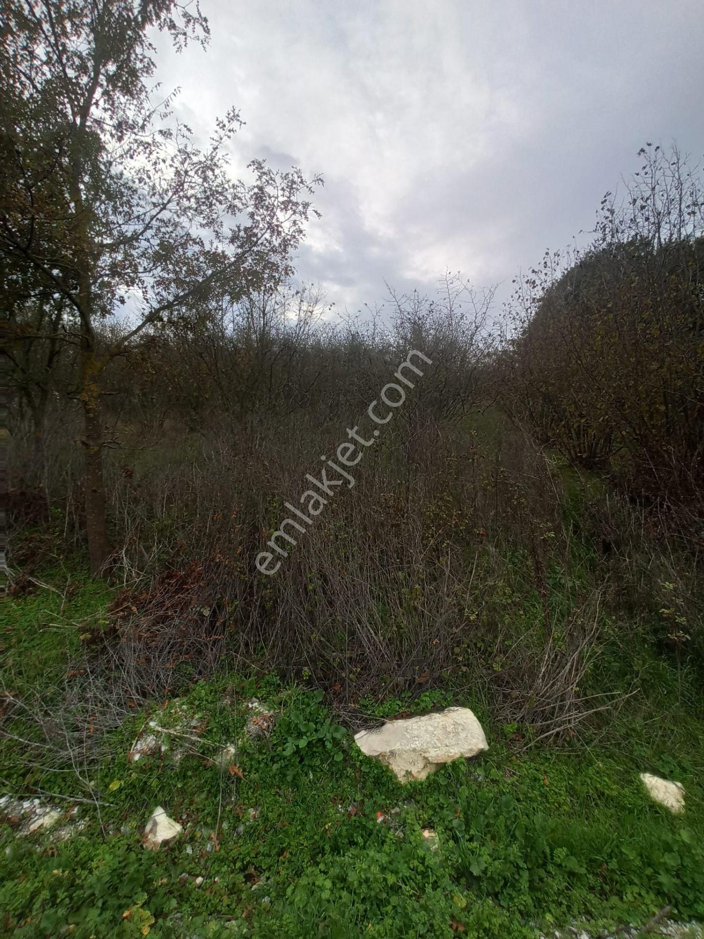 Sıraköy 'de Asfalt Cepheli, Manzaralı, Fırsat Satılık Tarla - Görsel 11