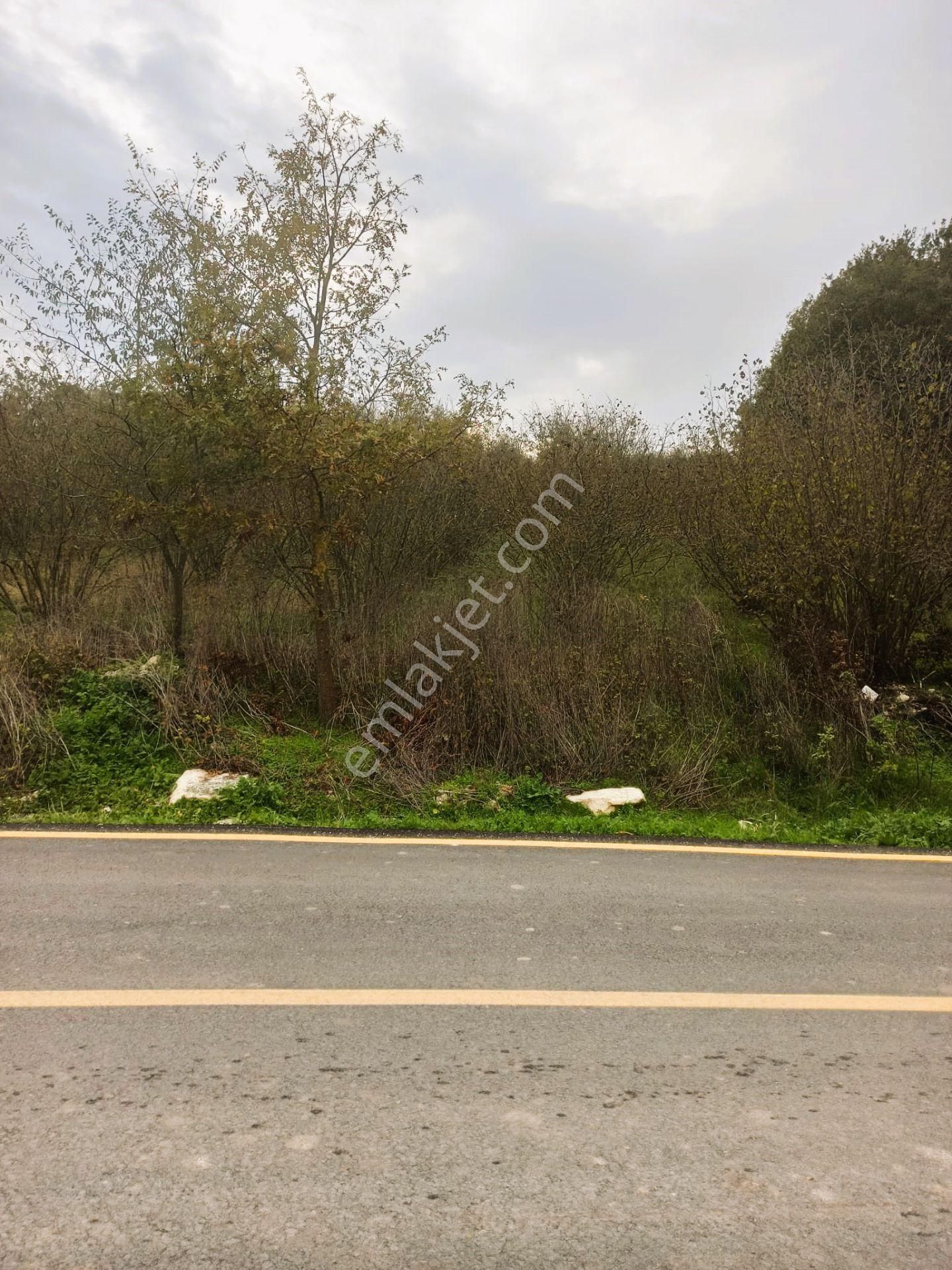 Sıraköy 'de Asfalt Cepheli, Manzaralı, Fırsat Satılık Tarla - Görsel 8