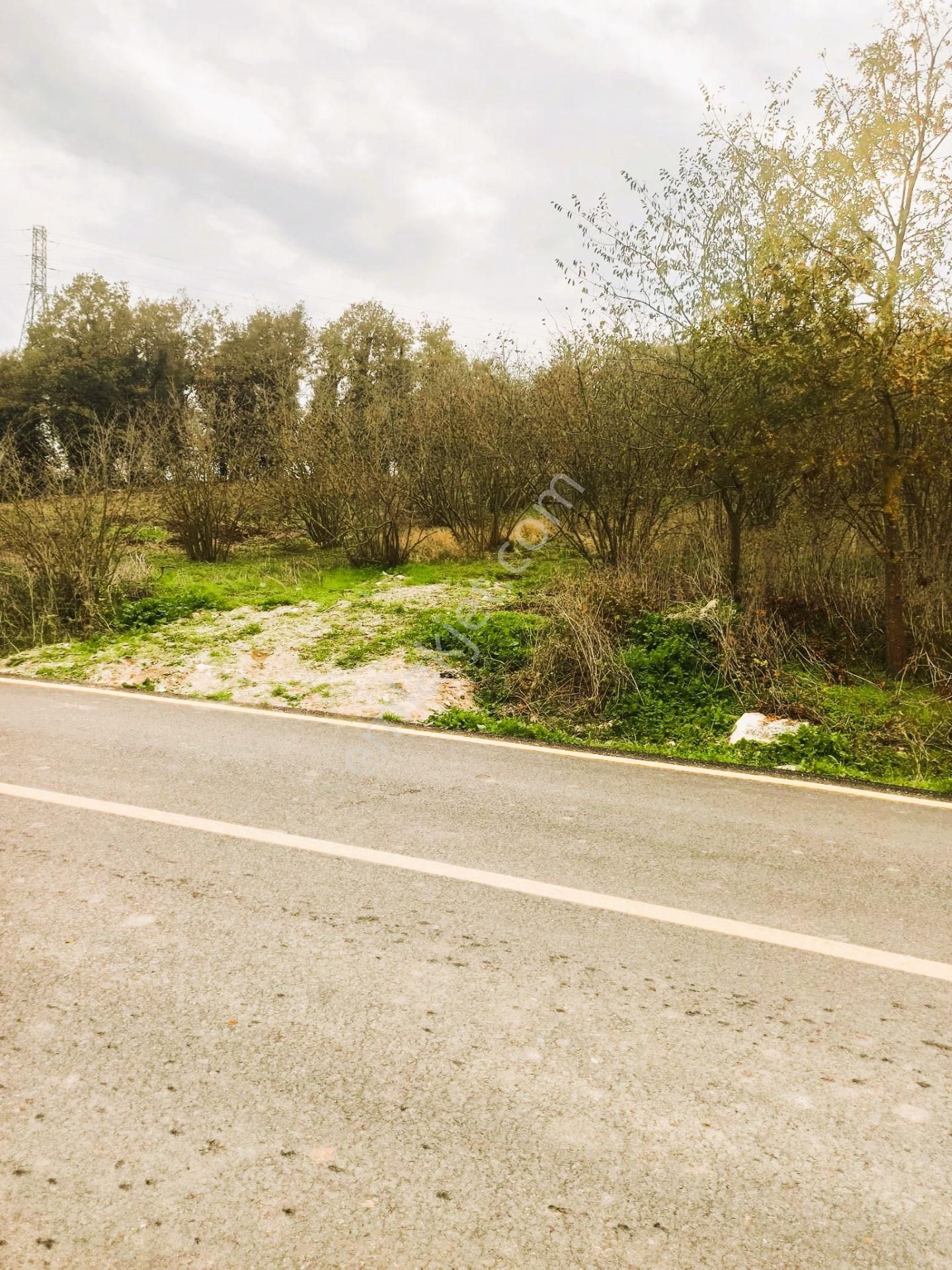 Sıraköy 'de Asfalt Cepheli, Manzaralı, Fırsat Satılık Tarla - Görsel 16