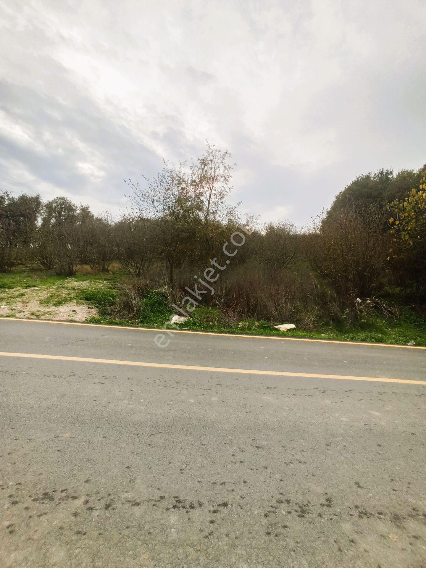 Sıraköy 'de Asfalt Cepheli, Manzaralı, Fırsat Satılık Tarla - Görsel 15