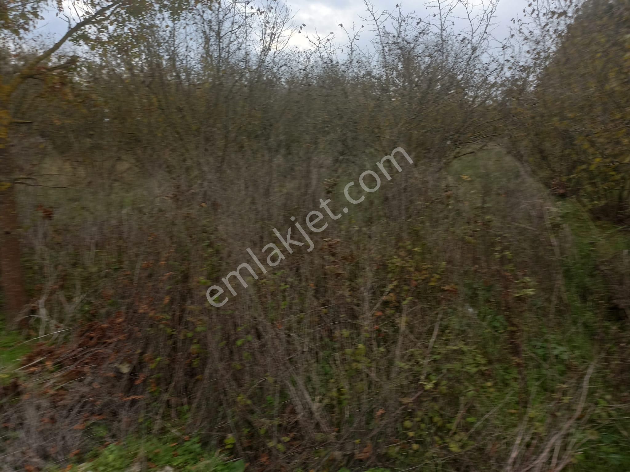 Sıraköy 'de Asfalt Cepheli, Manzaralı, Fırsat Satılık Tarla - Görsel 12