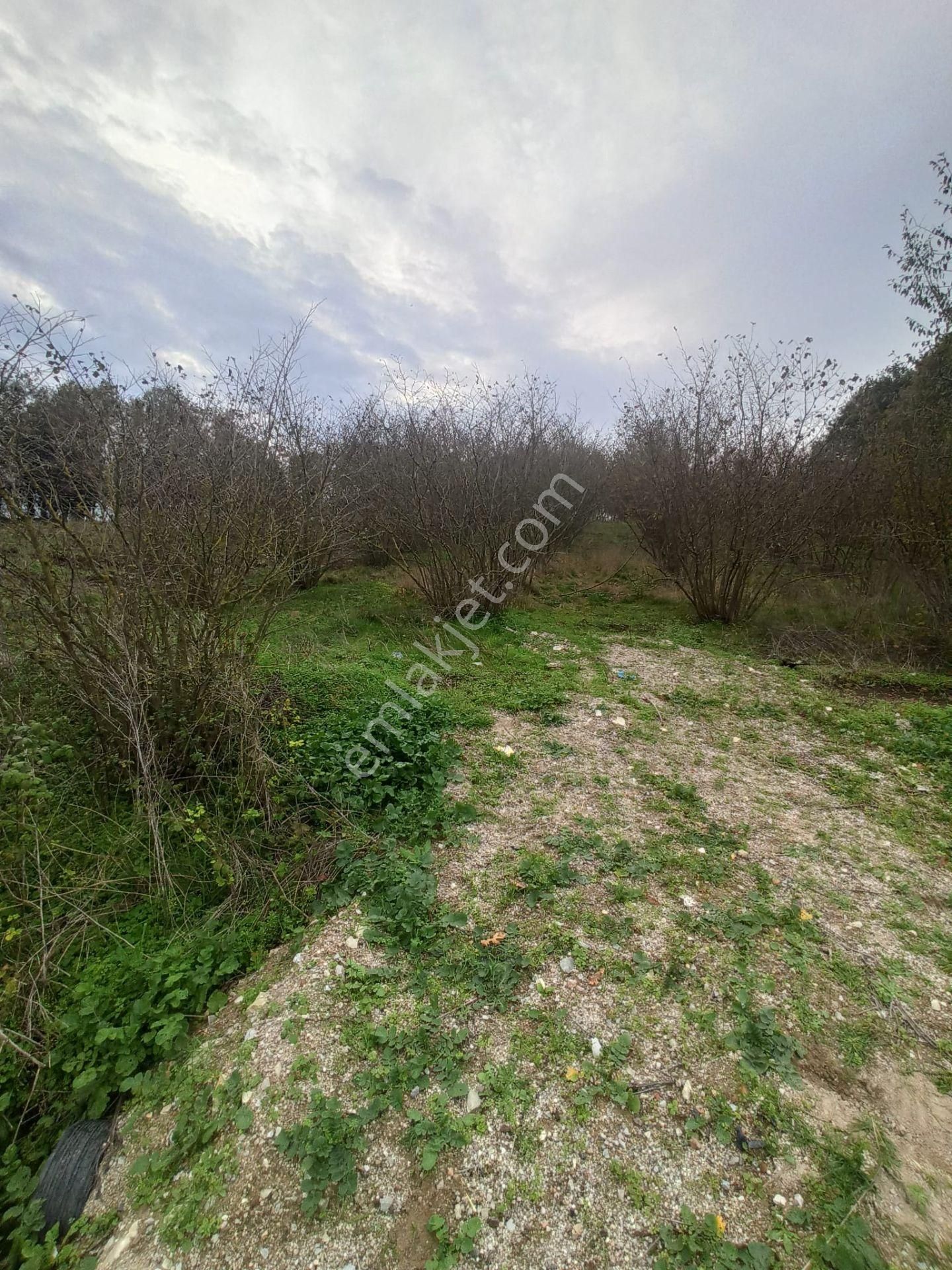 Sıraköy 'de Asfalt Cepheli, Manzaralı, Fırsat Satılık Tarla - Görsel 10