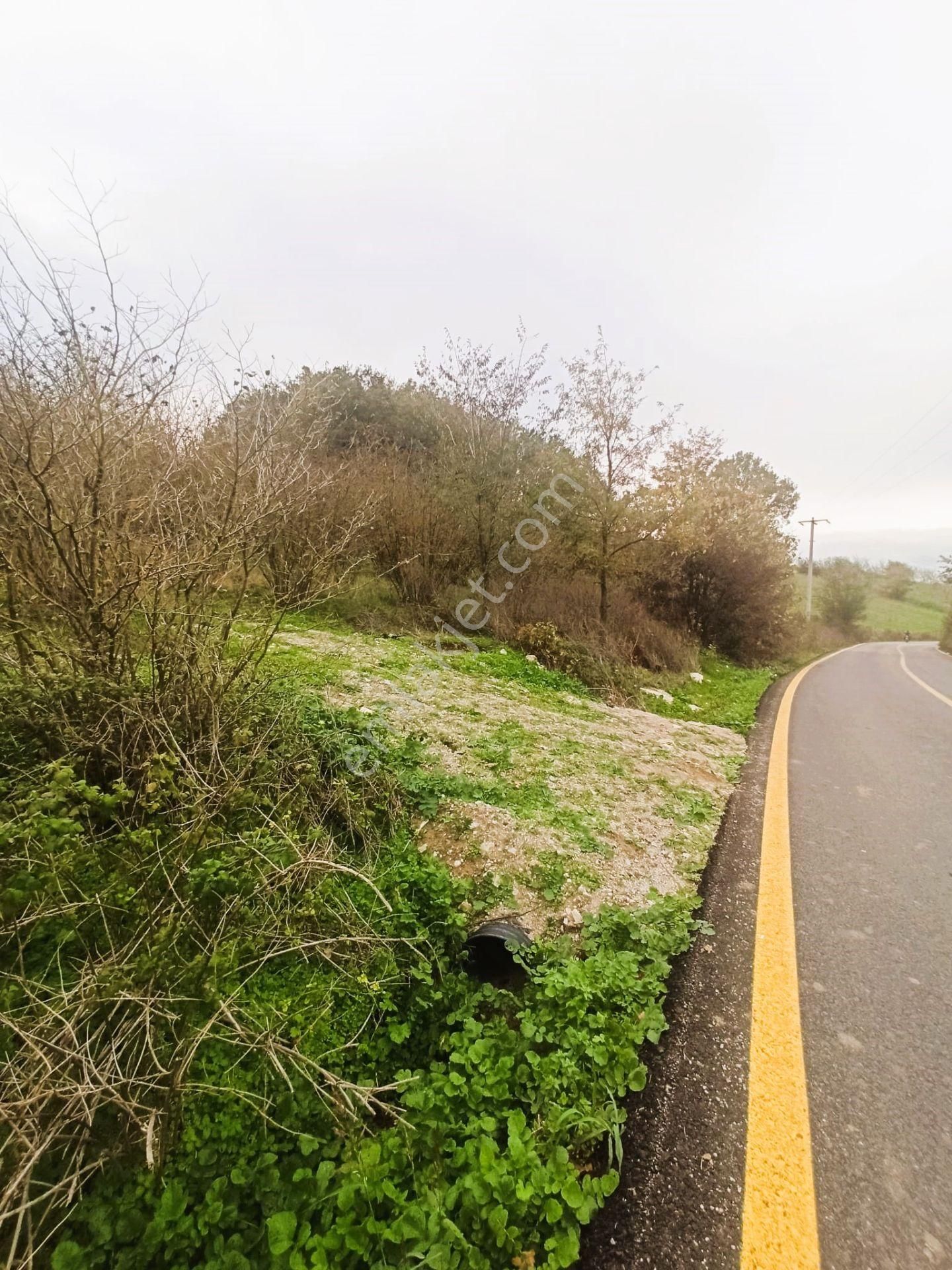 Sıraköy 'de Asfalt Cepheli, Manzaralı, Fırsat Satılık Tarla - Görsel 7