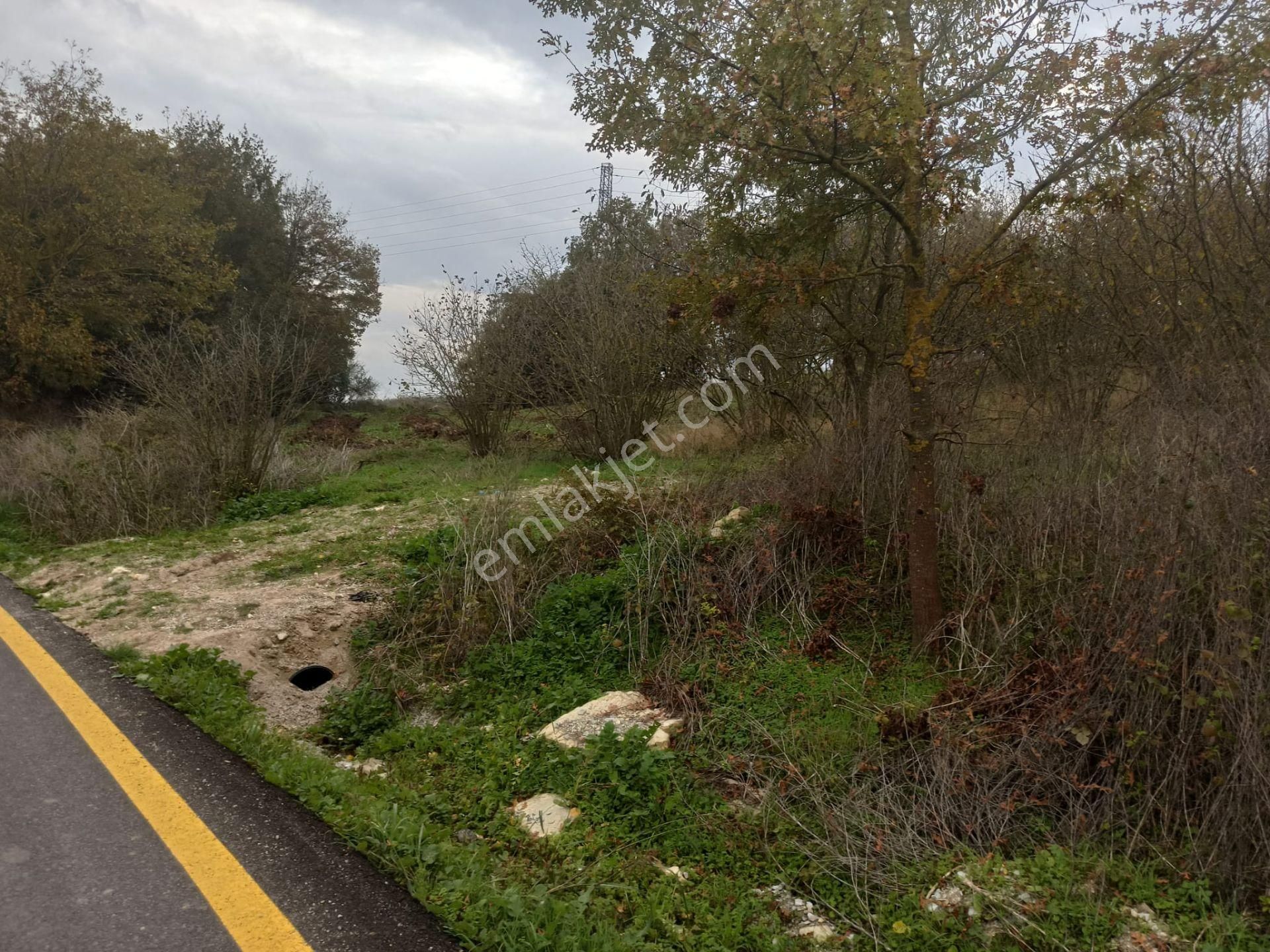 Sıraköy 'de Asfalt Cepheli, Manzaralı, Fırsat Satılık Tarla - Görsel 13