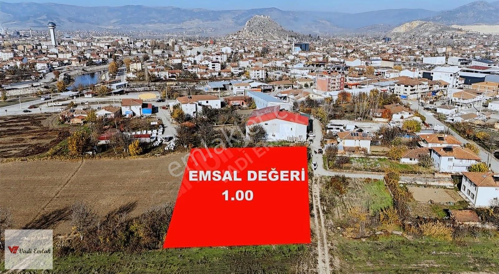 Vadi'den Satılık Ticari Arsalar (2 Hisseli Olup Tamamı Satılık) - Görsel 3