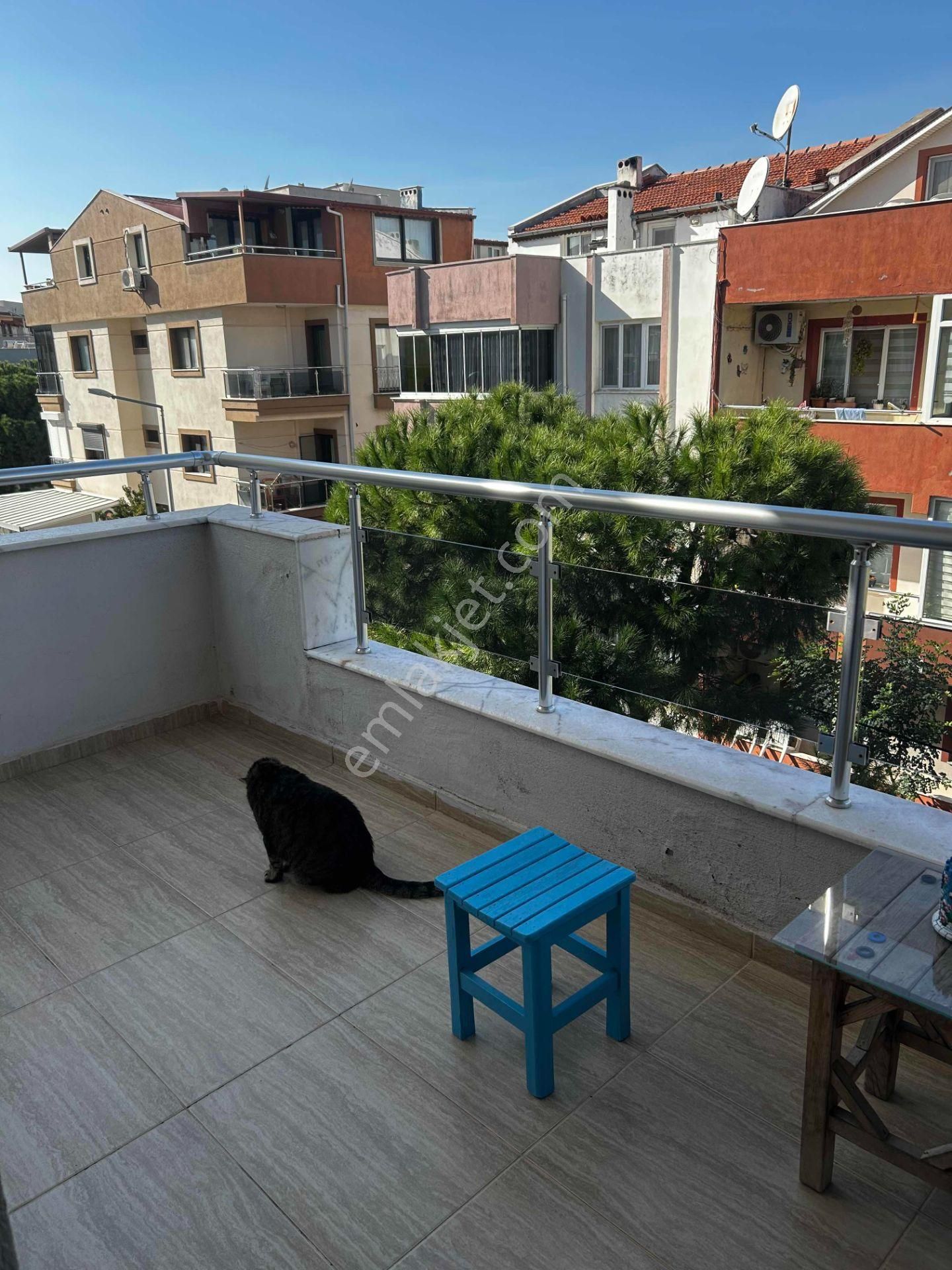 Mükemmel Ev - Görsel 23