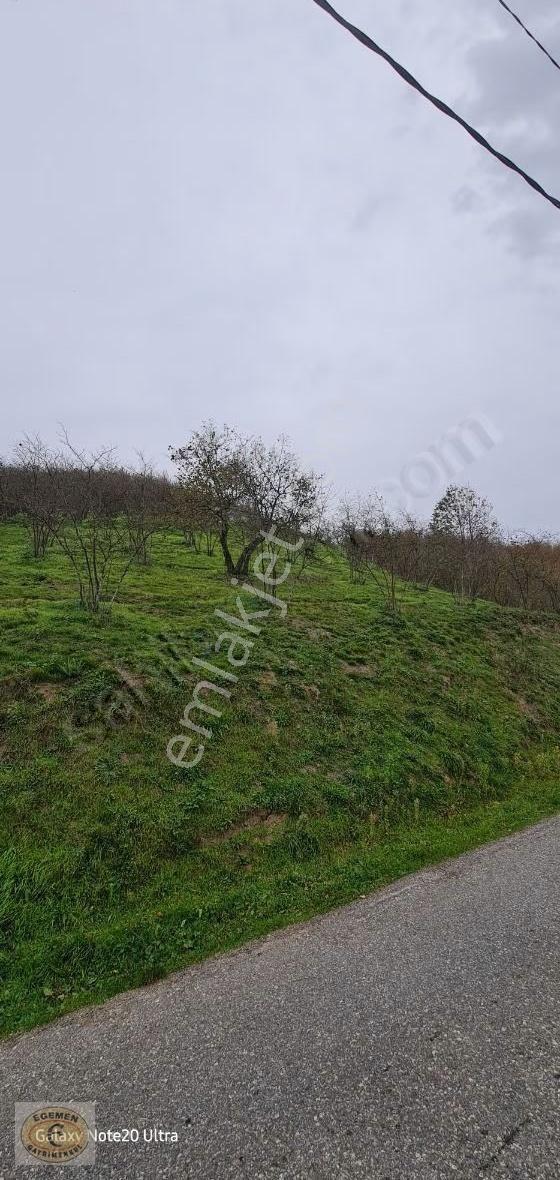 Sakarya Akyazı Merkez Yeniköy Mahallesinde 1850 M2 Satılık Arsa - Görsel 3