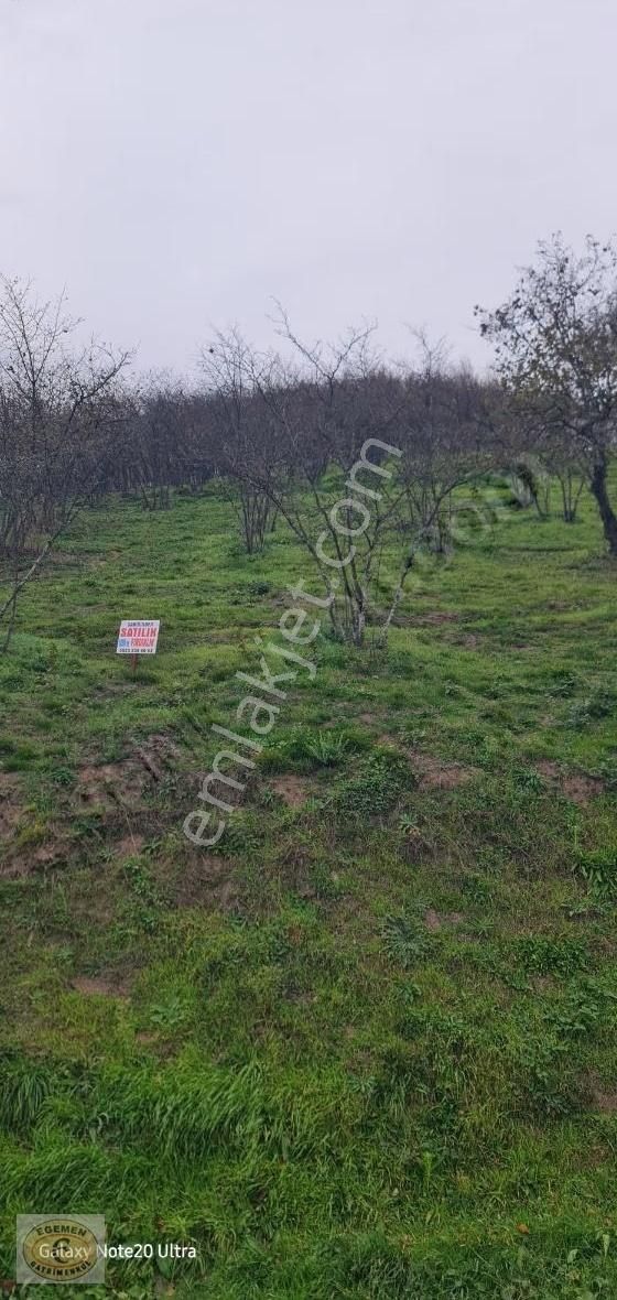 Sakarya Akyazı Merkez Yeniköy Mahallesinde 1850 M2 Satılık Arsa
