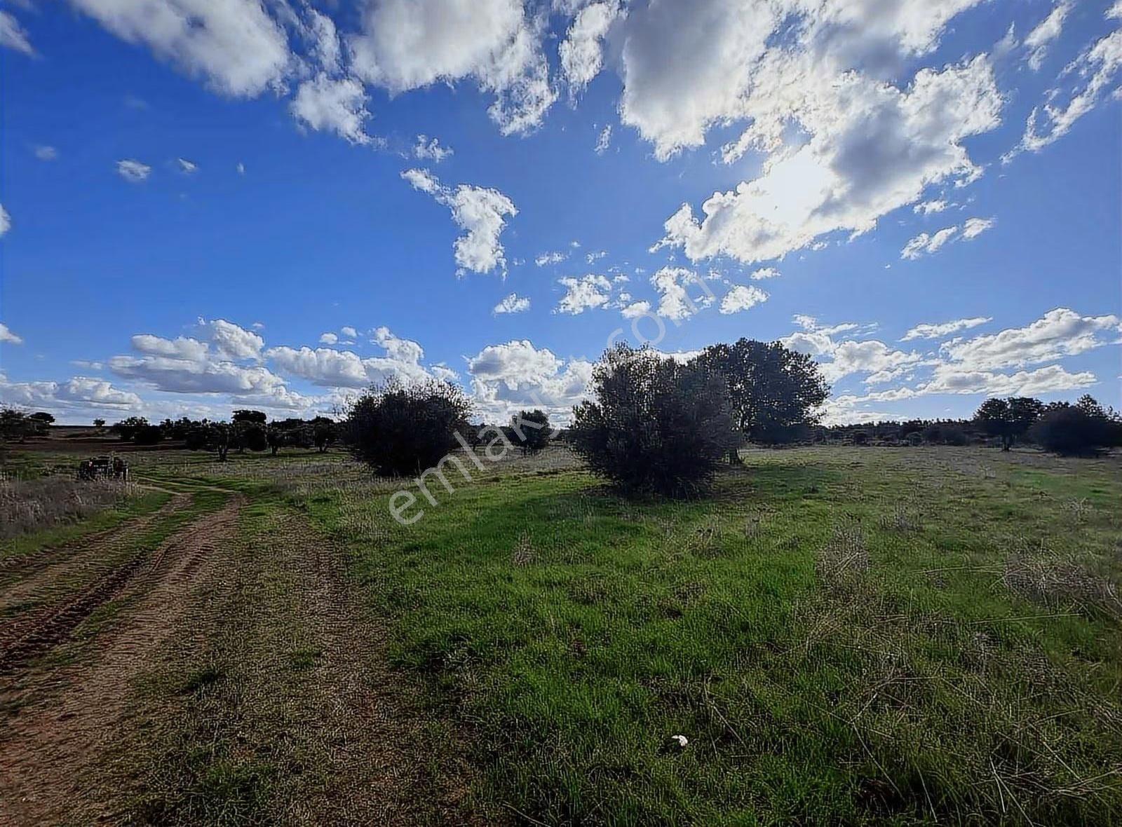 Ezine Kumburun'da Denize Yakın 17.704 M2 Arazi - Görsel 20