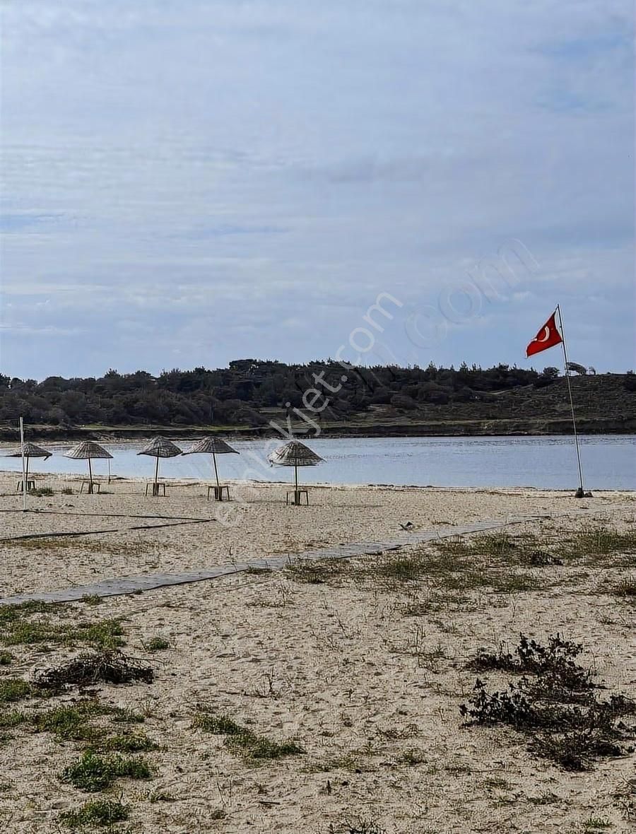 Ezine Kumburun'da Denize Yakın 17.704 M2 Arazi - Görsel 12