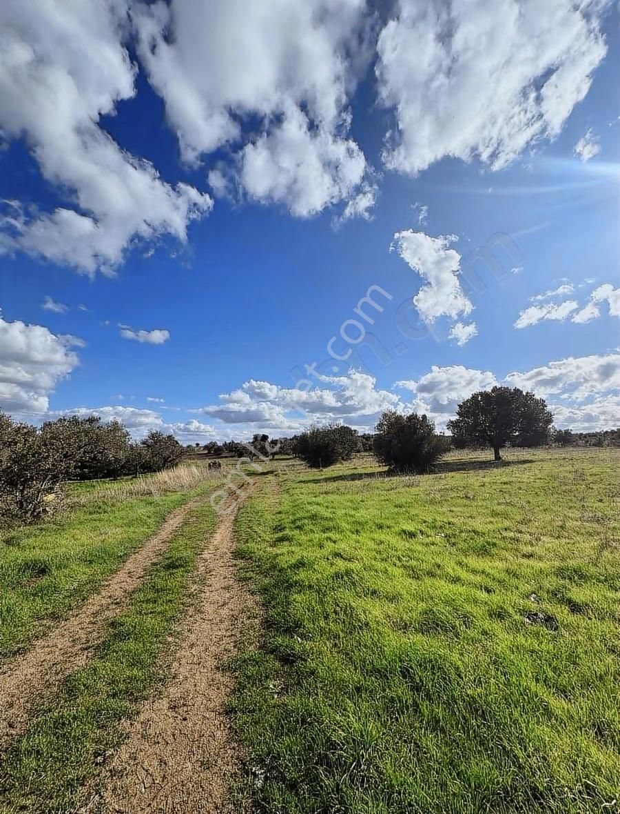 Ezine Kumburun'da Denize Yakın 17.704 M2 Arazi - Görsel 31